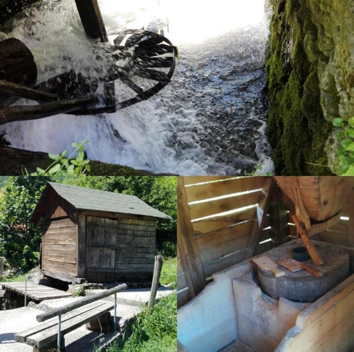 Aparthotel Kopaonik Brzeće 外观 照片